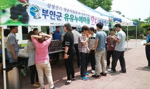 [NSP PHOTO]부안 유유마을, 삼성전기 세종사업장서 직거래 장터 운영