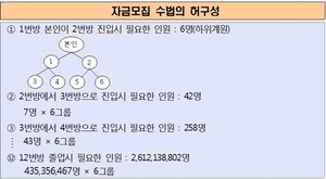 [NSP PHOTO]금감원, 가상계좌 악용 사이버 대동계 사이트 적발