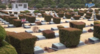 [NSP PHOTO][NSPTV] UN Memorial Cemetery, Freedom and recollection of peace, value over tourist attraction