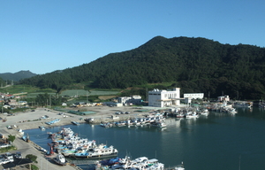 [NSP PHOTO]진도군, 서망항 다기능 어항 공모 최종 선정