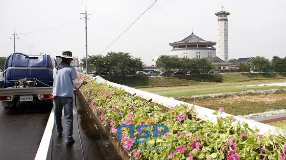 NSP통신-서산시 관계자가 해미순교성지 주변 도로 꽃화단에 물을 주고 있다 (서산시)