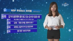 [NSP PHOTO][NSPTV]주요뉴스브리핑＂법무부, 길거리 음란행위 혐의 김수창 지검장 사퇴＂