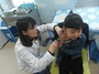 [NSP PHOTO]부여군, 학령기 아동 예방접종 당부