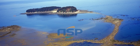 NSP통신-무창포 신비의 바닷길 모습 (보령시)