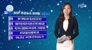 [NSP PHOTO][NSPTV] 주요뉴스브리핑 정부, 담뱃값 내년 1월 2천 원 인상 추진
