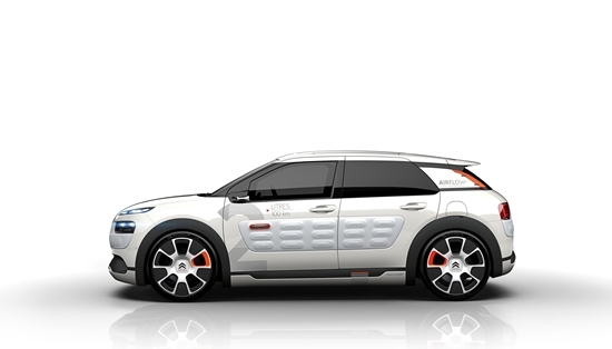 NSP통신-C4 칵투스 에어플로우 2L