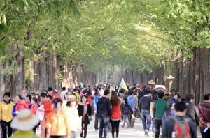 [NSP PHOTO]제4회 담양 가로수축제 열린다