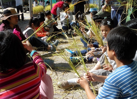 NSP통신-14일 여의도초등학교에서 진행된 친환경 벼수확체험에서 작목반원들의 안내로 학생들이 새끼꼬기체험을 하고 있다. (남원시)