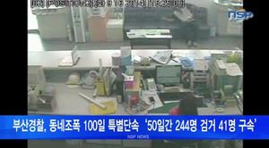 [NSP PHOTO][NSPTV] 부산경찰, 동네조폭 100일 특별단속 50일간 244명 검거 41명 구속