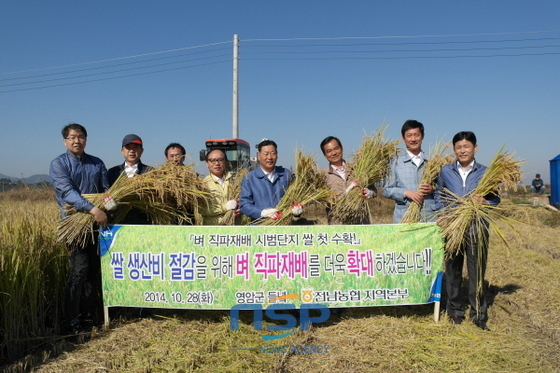 NSP통신-전남농협이 28일 영암군 군서면 들녘에서 직파재배 시범단지의 첫 수확 및 수매 행사를 갖고 있다. (농협전남지역본부)