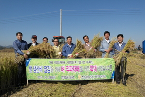 [NSP PHOTO]전남농협, 벼 직파재배 시범단지 첫 수확