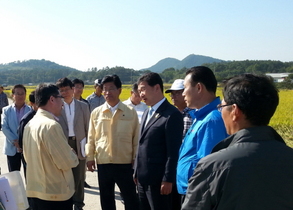 [NSP PHOTO]나주 벼 이삭도열병 피해, 농업재해 인정···복구비 지원 길 열려