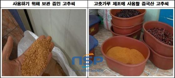 NSP통신- (부산시 제공)