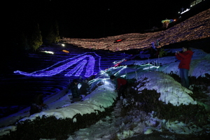 [NSP PHOTO]보성군, 새해 새 희망 전하는 보성차밭 빛축제
