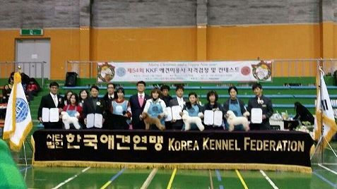 NSP통신-서울 KBS스포츠월드 제2체육관에서 열린 애견미용 자격 검정대회 (호서전문학교 제공)