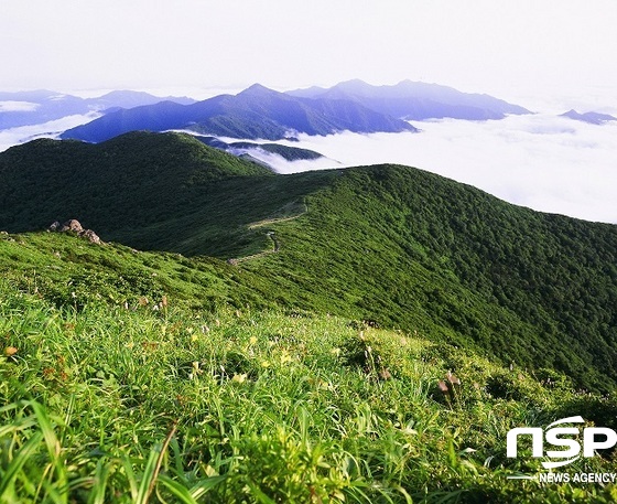 NSP통신-덕유산 멸종위기 야생식물 서식지 보호를 위한 오는 2033년까지 특별보호구역으로 신규 지정되는 중봉지역.(사진=덕유산국립공원 제공)