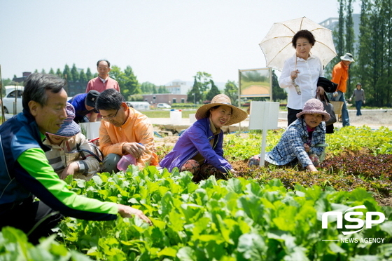 NSP통신-전남대가 운영하고 있는 도시 텃밭. (전남대)