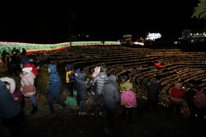 [NSP PHOTO]보성군, 2015 보성차밭 빛축제 성료