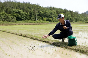 [NSP PHOTO]해남군, 유기농업 생산기반조성 박차