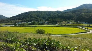 [NSP PHOTO]천안시, 북면 옛 마을길 스토리텔링 공간 조성