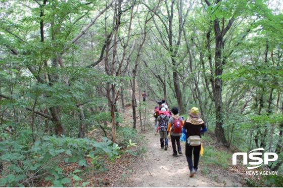 NSP통신-팔공산 등산로. (대구시 제공)