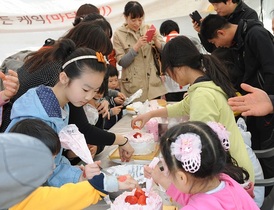 [NSP PHOTO]완주군, 딸기축제 27일부터 열려