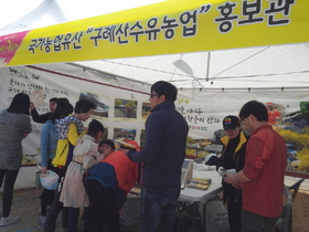 [NSP PHOTO]구례군, 국가가 인정한 농업유산 구례산수유농업 홍보