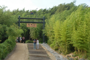 [NSP PHOTO]담양 죽녹원, 한국관광 100선 선정