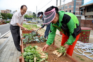 [NSP PHOTO]광주 동구, 2015 도심 속 상자텃밭 분양