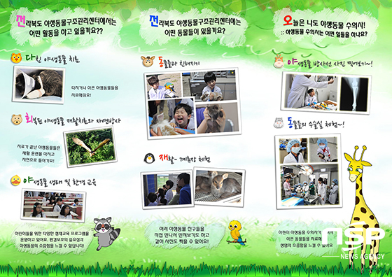 NSP통신- (전라북도 야생동물구조관리센터)