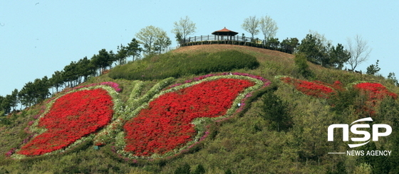 NSP통신- (함평군)