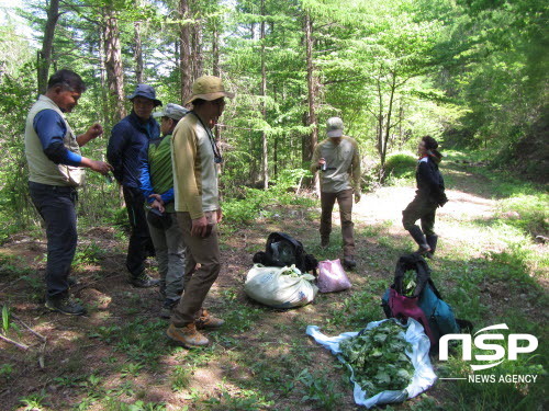 NSP통신-덕유산 국립공원 지역내 임산물 채취현장에서 단속을 펼치고 있는 특별단속 요원 모습