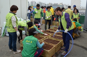 [NSP PHOTO]광주 광산구 월곡2동 주민들, 주민센터 옥상에 희망텃밭 조성