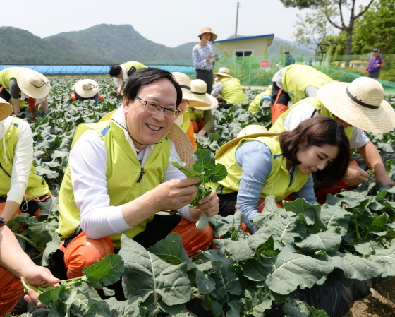 NSP통신-NH농협금융지주 김용환 회장(왼쪽 첫 번째)과 임직원들이 강원 홍천 왕대추마을에서 영농철 농촌 일손돕기를 하고 있다.
