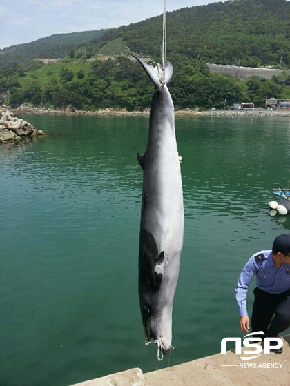 NSP통신- (창원해경 제공)