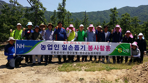 [NSP PHOTO]농협전북검사국, 장수 사과재배농가 일손돕기 실시