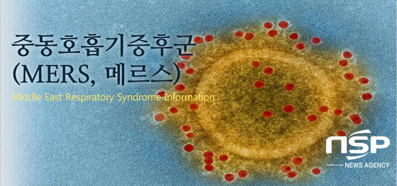 NSP통신-중동호흡기증후군인 메르스는 지난 2012년 4월 발견돼 사우디아라비아 등 중동지역을 중심으로 발생중인 전염성 질병으로 현재까지 백신이 개발되지 않았다. 중동 이외 지역 확진환자 수는 우리나라가 최대인 것으로 알려졌으며 1일 현재 확진 환자는 18명, 격리자는 682명이다. (보건복지부 제공)