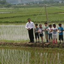 [NSP PHOTO]천안시, 514억 투자 우렁이농법 쌀생산 박차