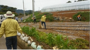 [NSP PHOTO]영암군 미암면, 농촌일손돕기 구슬땀