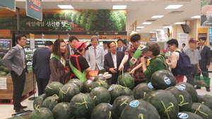 [NSP PHOTO]경남 함안군, 칼라수박의 매력과 맛을 전하다