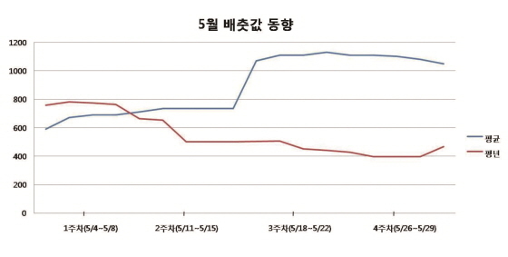NSP통신-5월 배추값 동향 그래프(자료 한국농수산식품유통공사) (대상FNF 제공)
