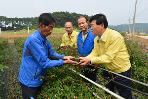 [NSP PHOTO]박우정 고창군수, 강풍·우박 피해농가 방문