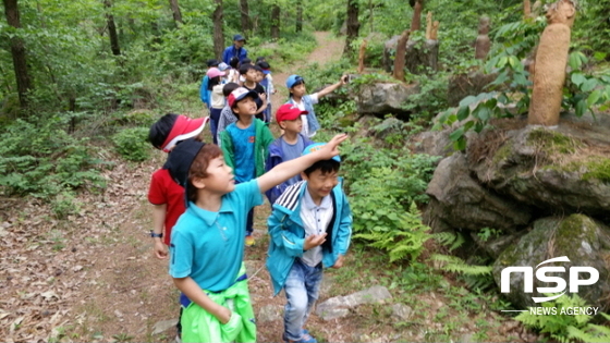 NSP통신-곡성 섬진강 도깨비마을에서 어린이들이 유아숲 체험을 하고 있다. (곡성군)