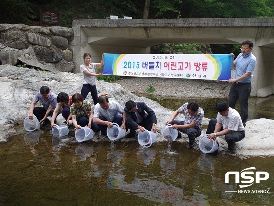 NSP통신-양산시 농업기술센터 관계자들이 하북면 용연리 상리천에 버들치 어린고기를 방류하는 모습. (양산시 제공)