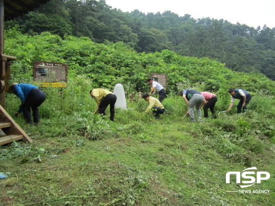 NSP통신-광주 광산구가 녹색길을 정비하고 있다. (광주 광산구)