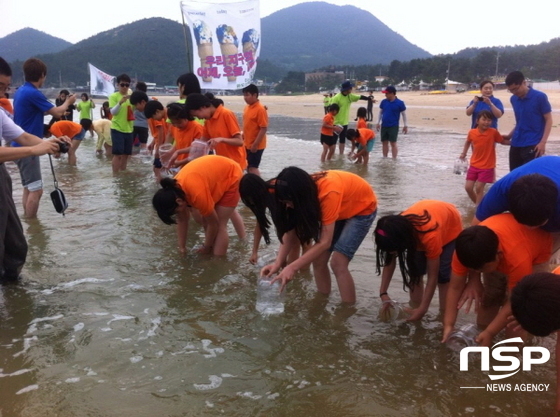 NSP통신-전남교육청이 완도 신지 명사십리에서 개최한 에코스쿨 . (전남교육청)