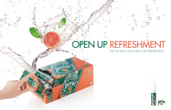 NSP통신-페리에 프릿지팩. (CUC)