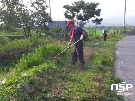 NSP통신-김천시 양금동 새마을협의회가 지난 5일 연도변 및 새천년 숲 산책로 일대에 풀베기 작업을 하고 있다.