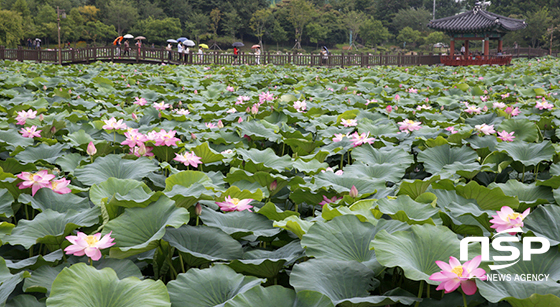 NSP통신-전주 덕진공원