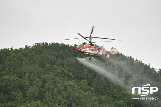 NSP통신-대형헬기(KA-32T) 항공방제 비행훈련. (익산산림항공관리소)